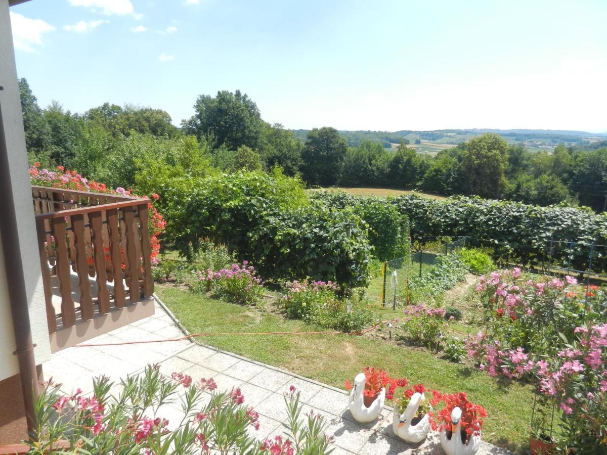 Urlaub Fuer Die Seele - Erholung Pur In Der Natur - Ferienhaus Mit Infrarotkabine & Relax-Raum Rucmanci ภายนอก รูปภาพ