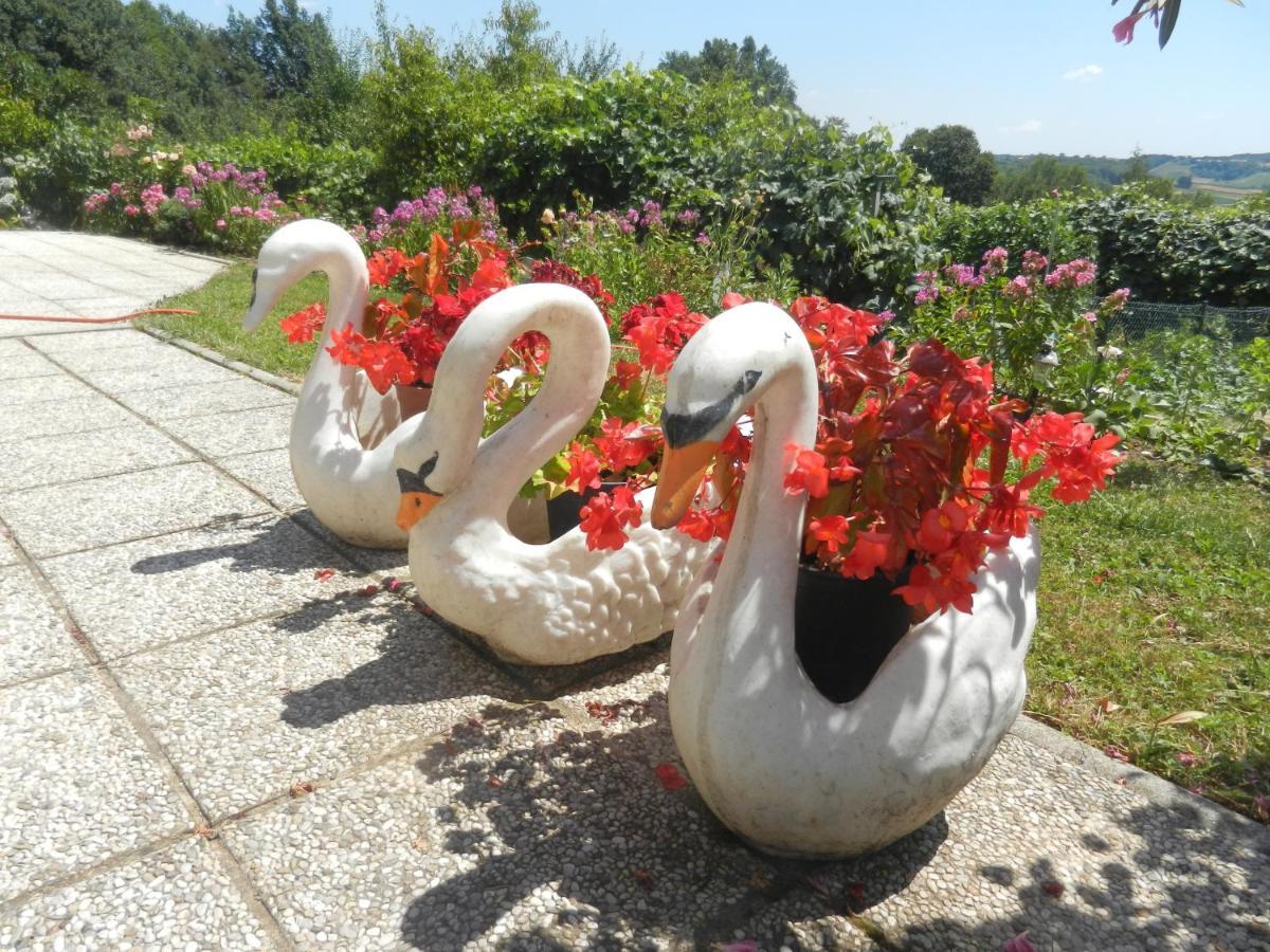 Urlaub Fuer Die Seele - Erholung Pur In Der Natur - Ferienhaus Mit Infrarotkabine & Relax-Raum Rucmanci ภายนอก รูปภาพ